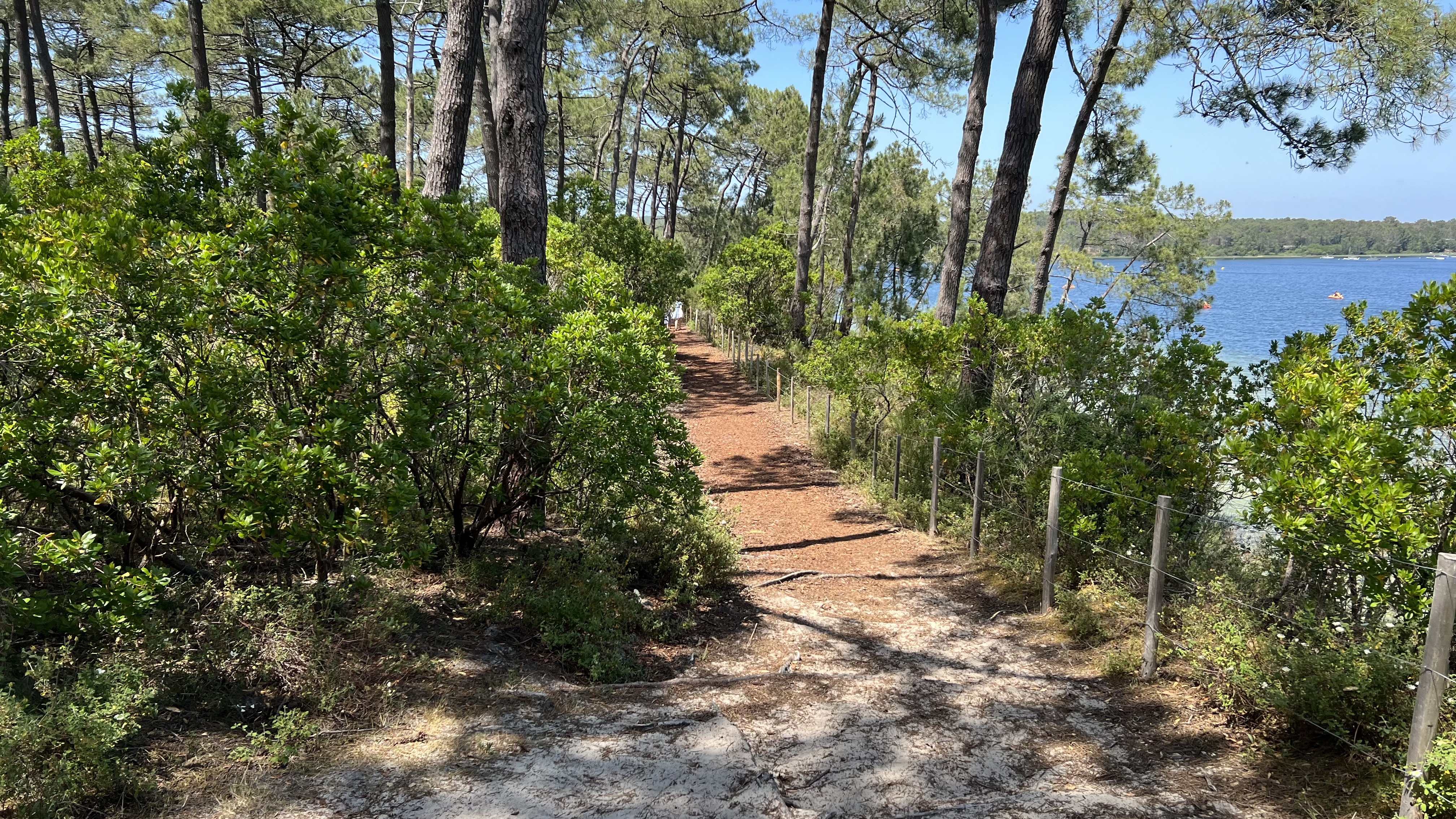 Photo n° 4 de l'avis de Patrick.e fait le 28/05/2023 à 20:56