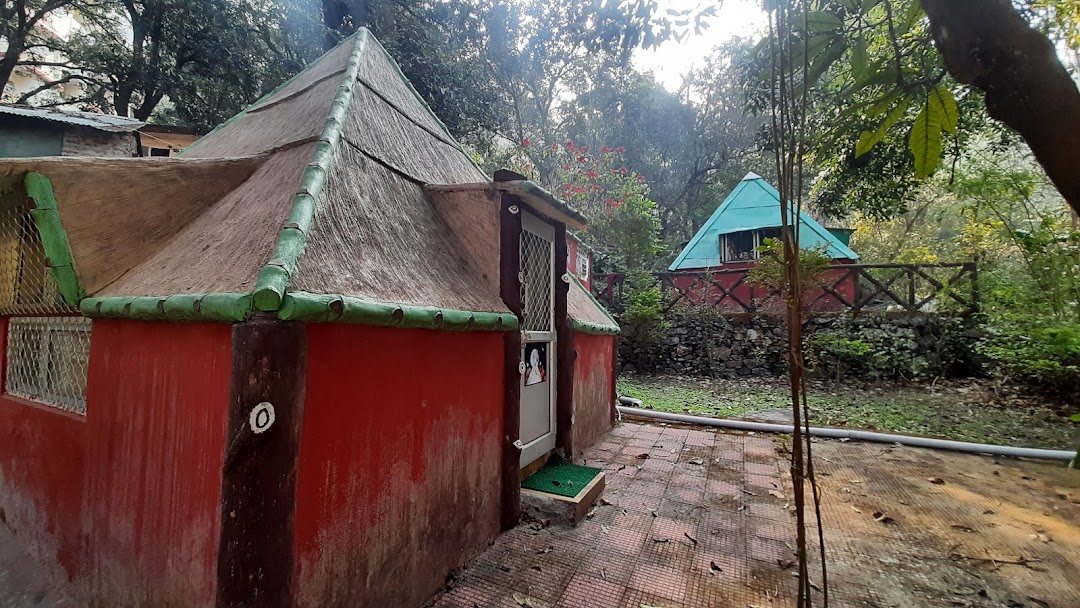 Pyramid Yogshala - Yoga School in Rishikesh, India