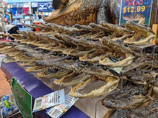 Gift Shop «Magic Castle Gift Kingdom», reviews and photos, 7646 W Irlo Bronson Memorial Hwy, Kissimmee, FL 34747, USA