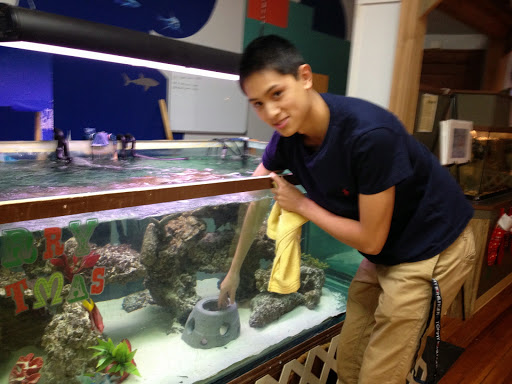 Aquarium «Team ECCO Ocean Center & Aquarium», reviews and photos, 511 N Main St, Hendersonville, NC 28792, USA