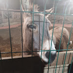 Photo n°2 de l'avis de Antonella.c fait le 31/10/2021 à 22:21 sur le  La Locanda nel Parco à Monte Porzio Catone