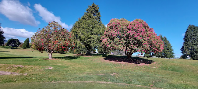 Springfield Golf Club - Golf Club