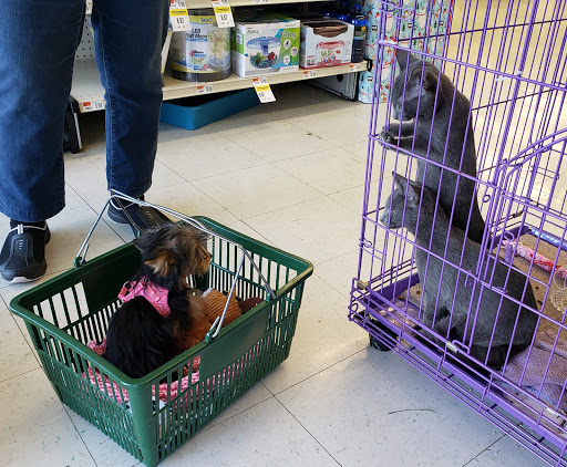 Pet Supply Store «Pet Supplies Plus», reviews and photos, 1258 Northlake Blvd, Lake Park, FL 33403, USA