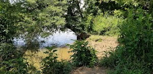 Woods Ferry Recreation Area - photo 25