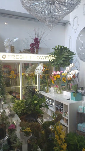 Coffee Shop «Storyville Coffee», reviews and photos, 1001 1st Ave, Seattle, WA 98104, USA