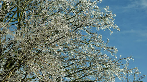 Golf Course «Rose City Golf Course», reviews and photos, 2200 NE 71st Ave, Portland, OR 97213, USA