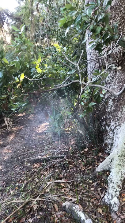 Hidden Oaks Nature Trail