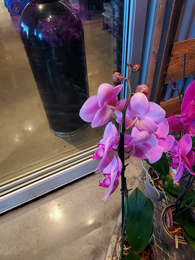 Grocery Store «Whole Foods Market», reviews and photos, 1815 E Victory Dr #101, Savannah, GA 31404, USA