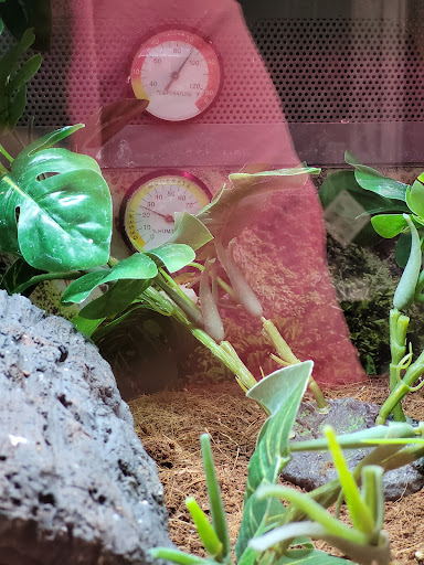 Pet Supply Store «Petco Animal Supplies», reviews and photos, 1930 SW Wanamaker Rd, Topeka, KS 66604, USA