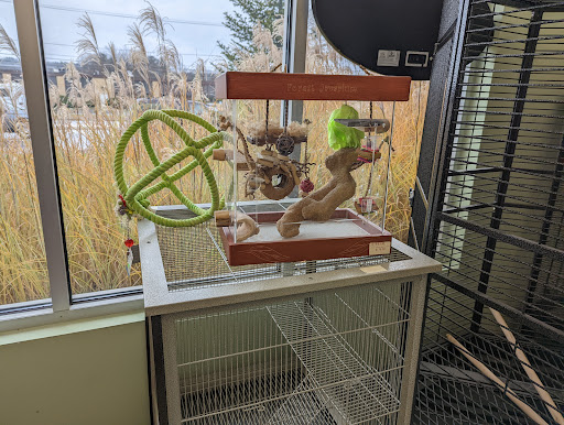 Pet Store «Woofmeow Family Pet Center», reviews and photos, 19 Manchester Rd Suite A, Derry, NH 03038, USA