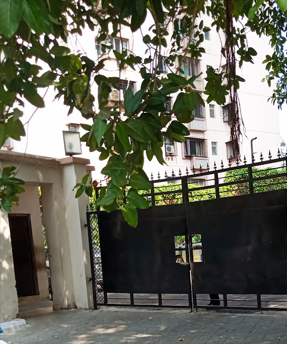 Google Maps image 15