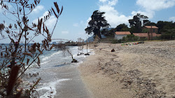 Foto von Plage de la Verne mit kleine bucht