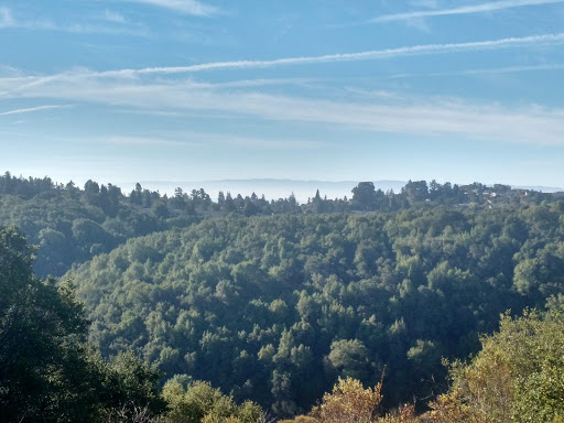 Golf Course «Redwood Canyon Golf Course», reviews and photos, 17007 Redwood Rd, Castro Valley, CA 94546, USA