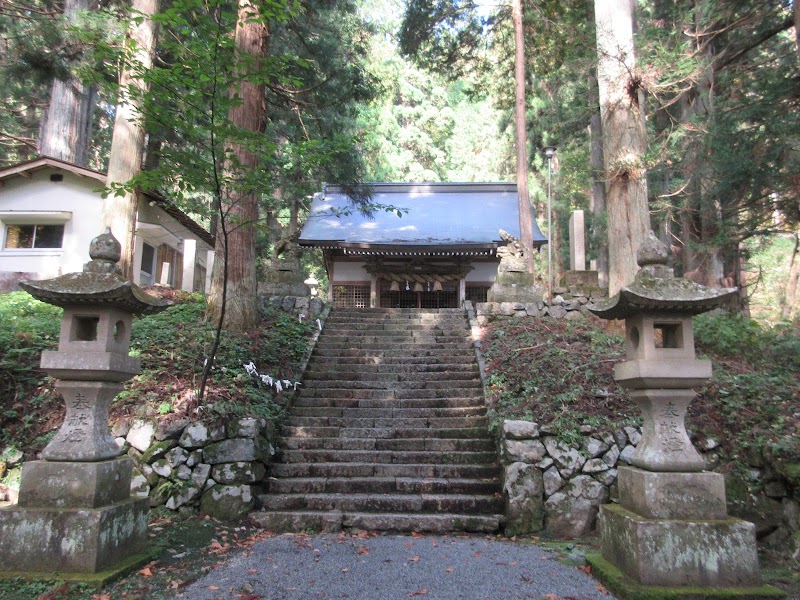 熊野神社(老杉)