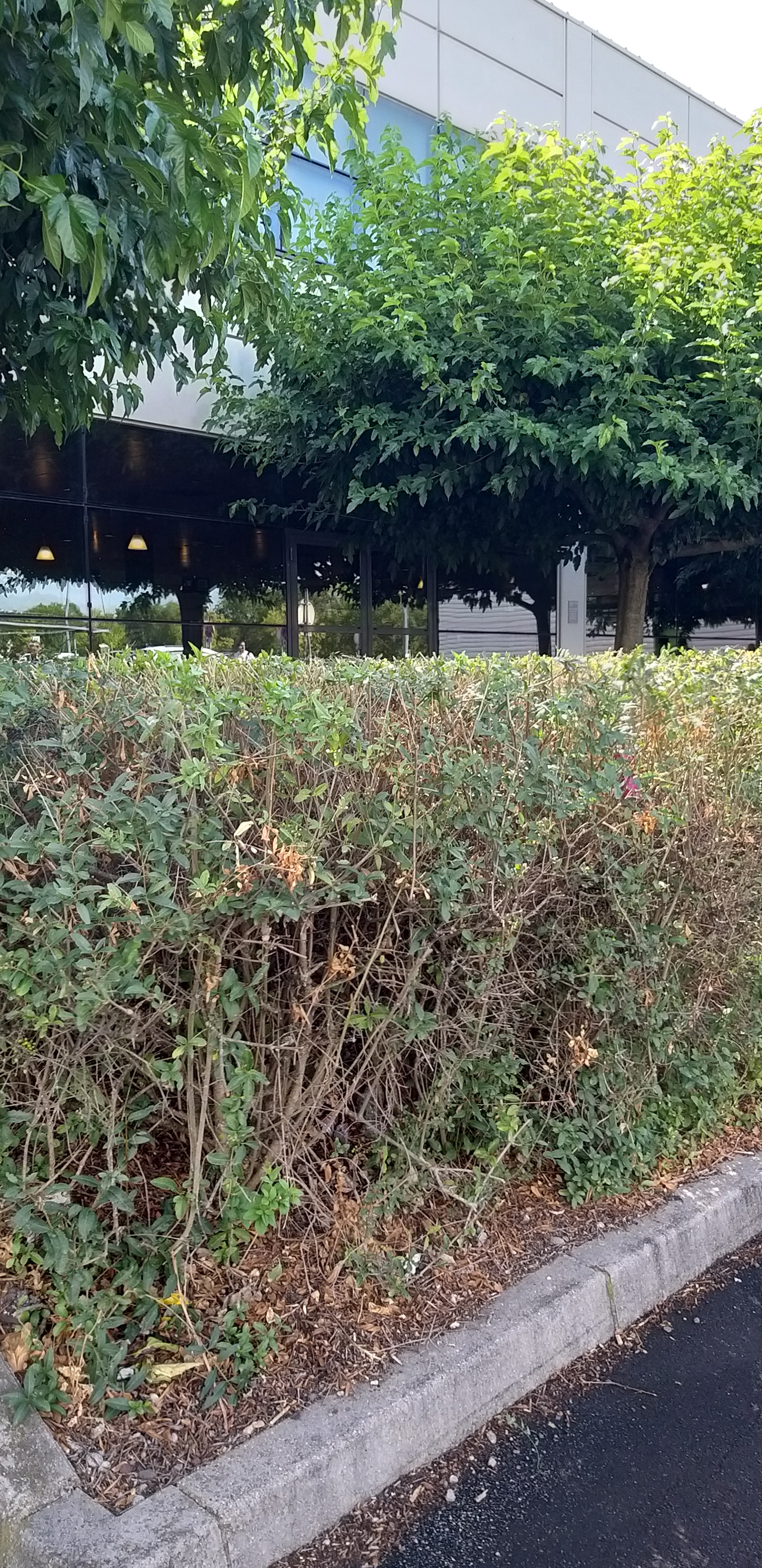 Photo n° 10 de l'avis de unmecdesannees80. fait le 24/05/2018 à 20:17