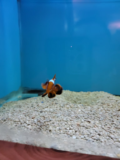 Tropical Fish Store «Ocean Aquarium», reviews and photos, 6820 E Black Horse Pike, Egg Harbor Township, NJ 08234, USA