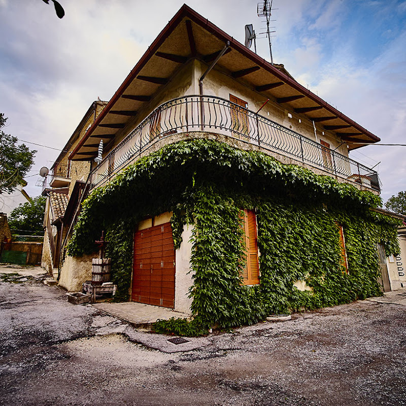 Azienda Agricola Biologica Andrea Felici