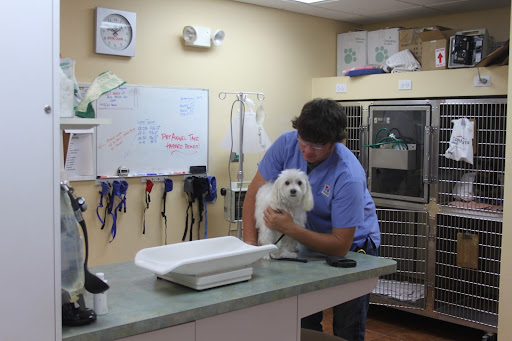 Mulberry Grove Animal Hospital image
