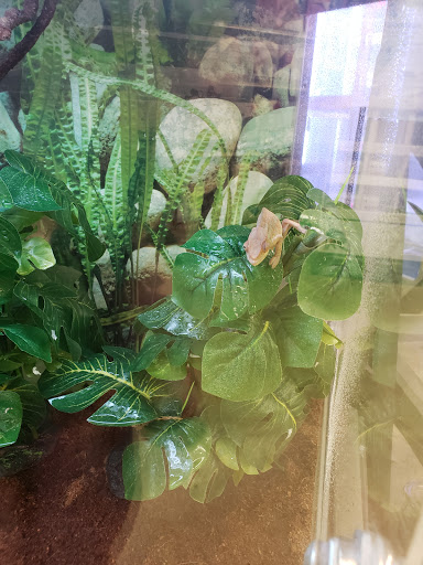 Pet Supply Store «Petco Animal Supplies», reviews and photos, 1320 Lincoln Way E #20, Chambersburg, PA 17202, USA