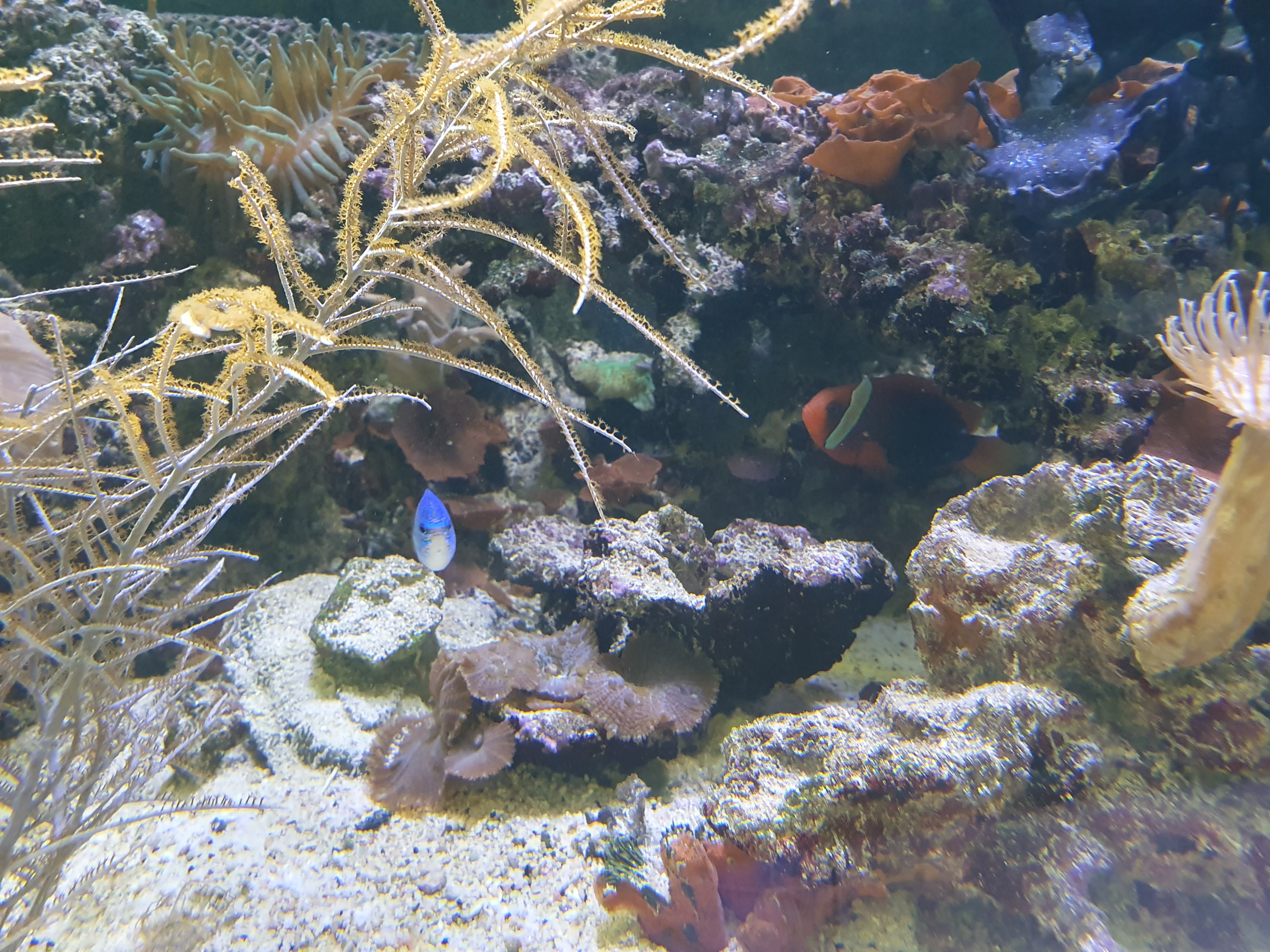 Photo n° 4 de l'avis de Laurent.r fait le 22/07/2023 à 09:50