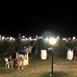 Photo n°5 de l'avis de Diego.o fait le 06/08/2019 à 11:53 sur le  Podere Riosto à Pianoro