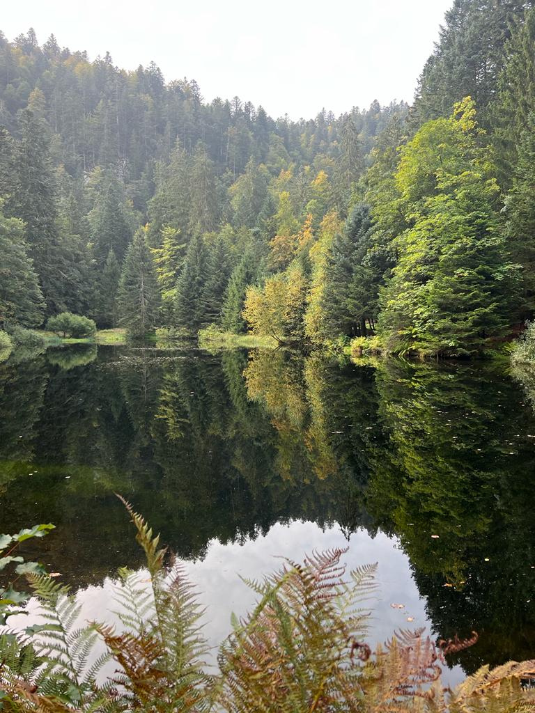 Photo n° 3 de l'avis de M. fait le 02/10/2023 à 17:02