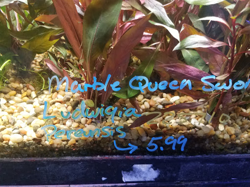 Pet Store «M V Pets», reviews and photos, 7429 S Westnedge Ave, Portage, MI 49002, USA