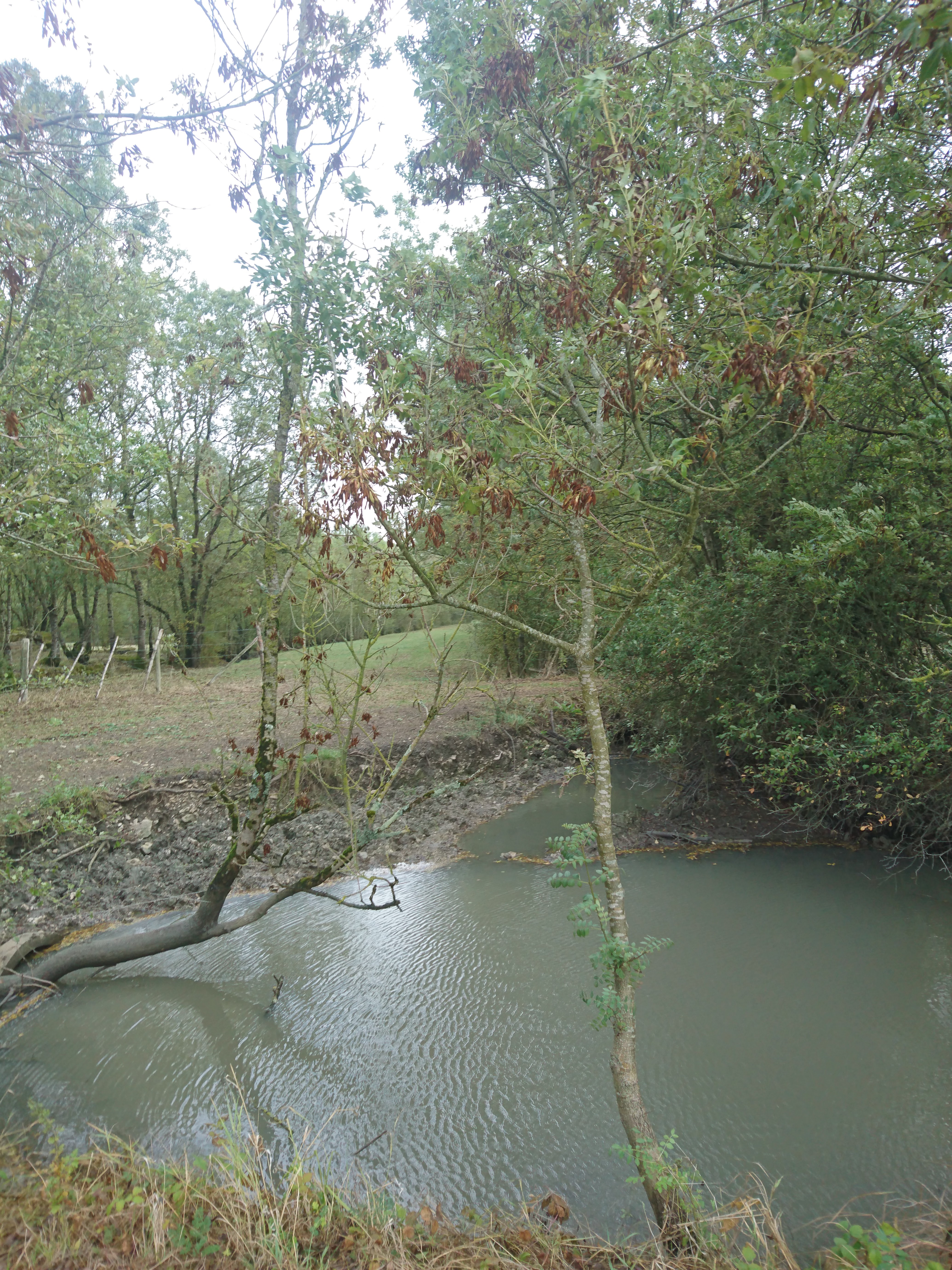 Photo n° 9 de l'avis de Saint.o fait le 26/09/2019 à 10:57