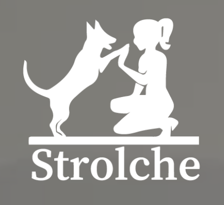 Strolche - Hundebetreuung St. Gallen - Hundeschule