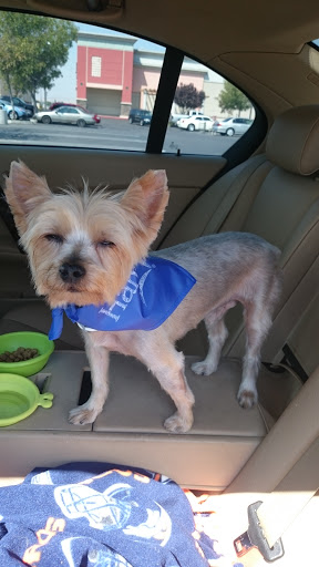 Pet Supply Store «PetSmart», reviews and photos, 2477 Naglee Rd, Tracy, CA 95304, USA