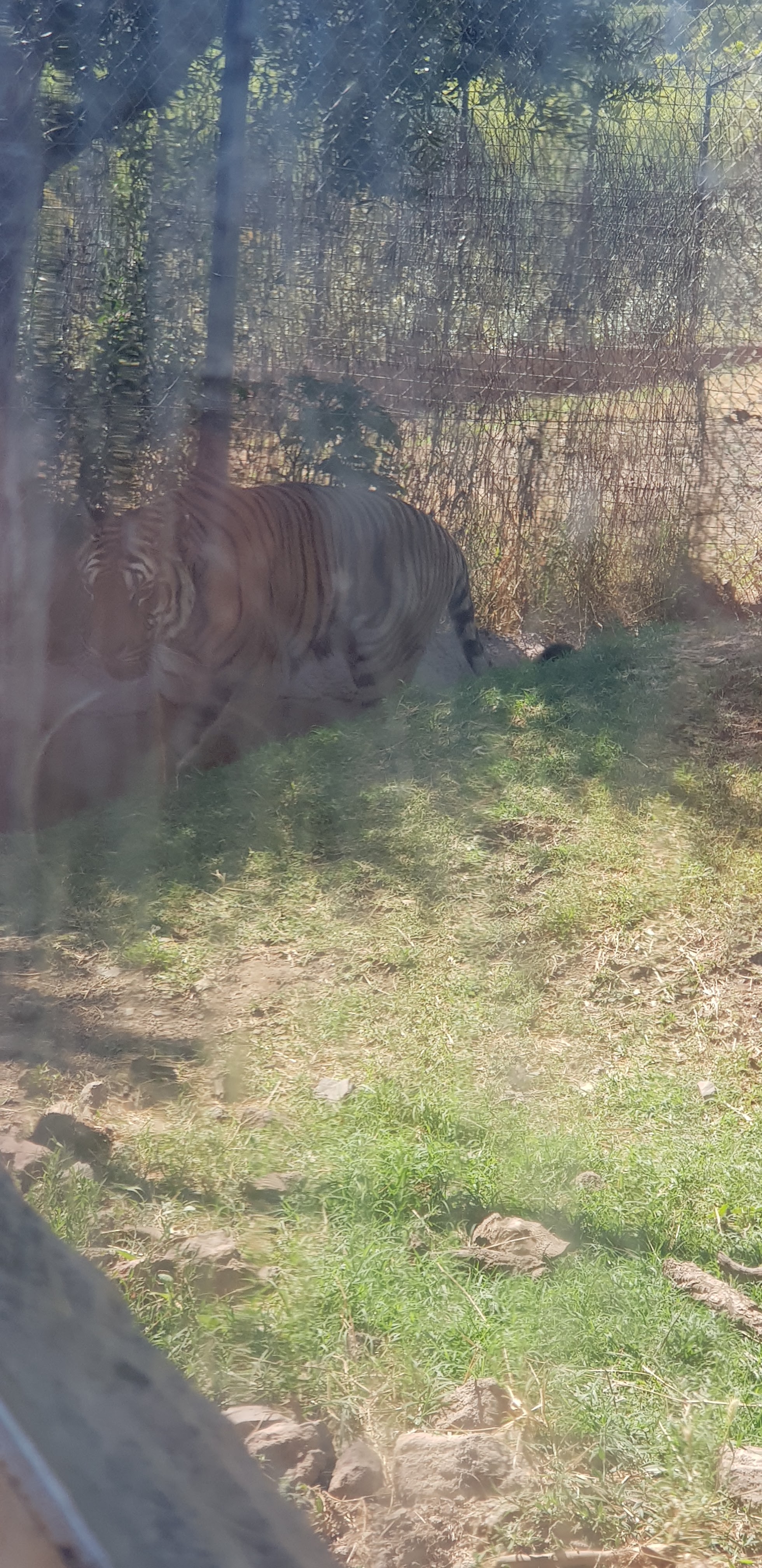Photo n° 47 de l'avis de stephanie.a fait le 05/08/2018 à 15:29