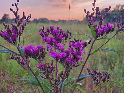 Nature Preserve «Sweet Arrow Reserve», reviews and photos, 789 Little Sugarcreek Rd, Sugarcreek Township, OH 45440, USA