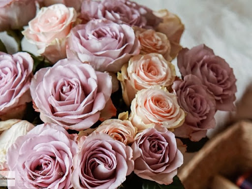 Florist «OSUFLOWERS .COM», reviews and photos, 2733 E Main St, Columbus, OH 43209, USA