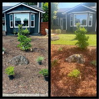 Lopez Landscaping Services - Photo 3 - Car repair in , Santa Rosa