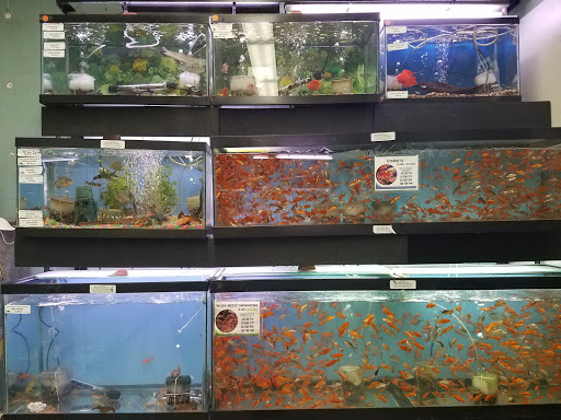 Pet Store «Petland Discounts - Pitkin Avenue», reviews and photos, 1689 Pitkin Ave, Brooklyn, NY 11212, USA