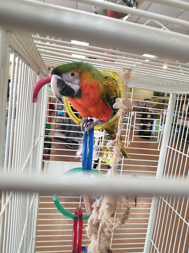Pet Store «Zookeeper Exotics», reviews and photos, 9012 Research Blvd, Austin, TX 78758, USA