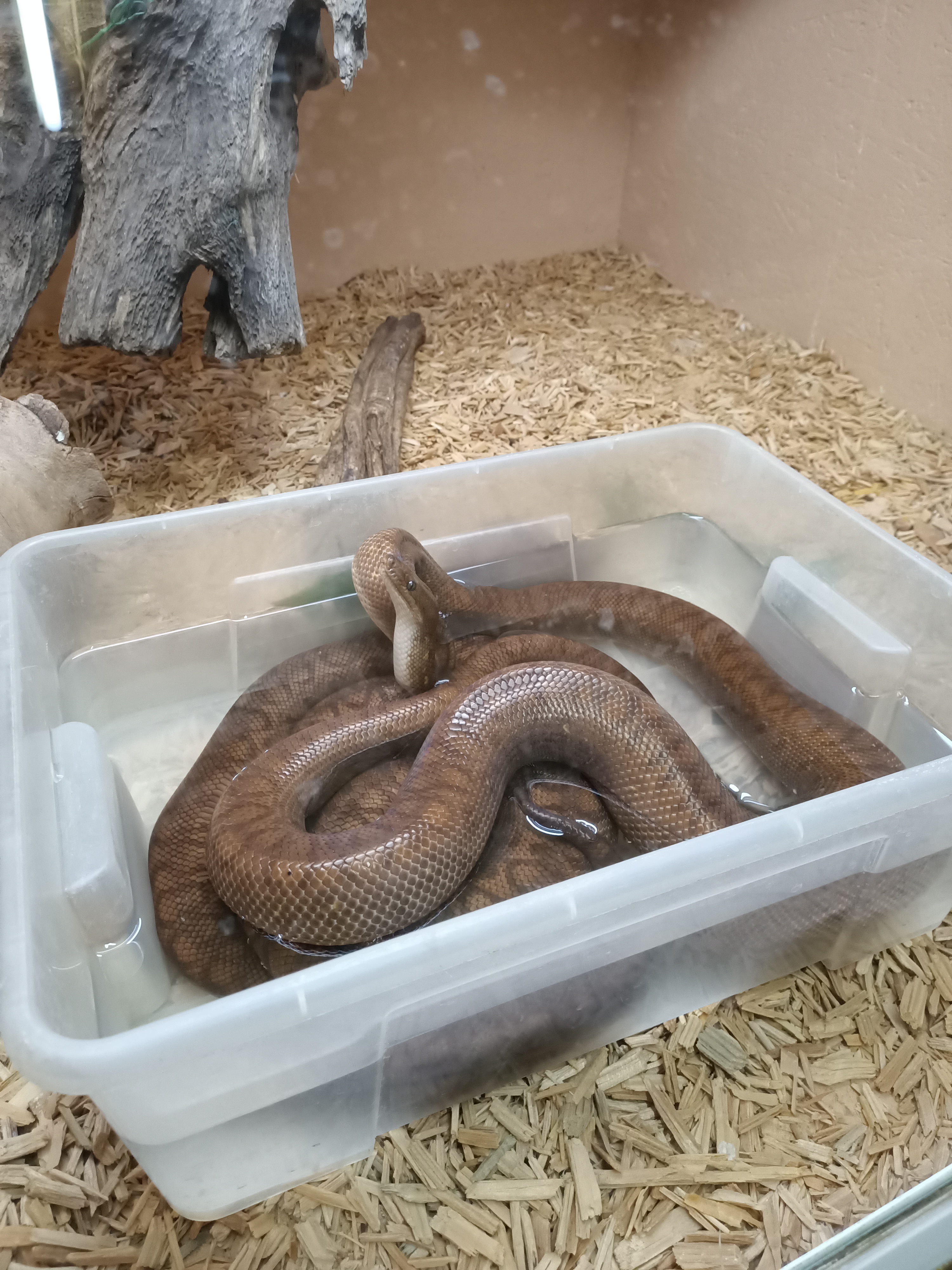 Photo n° 14 de l'avis de Dufau.a fait le 21/02/2024 à 14:51