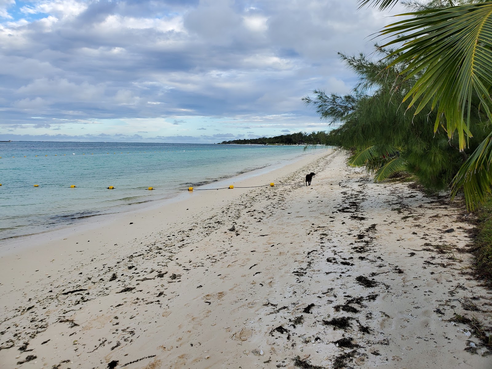 Foto av Belle Mare Beach II och bosättningen