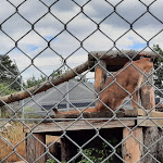 Photo n°5 de l'avis de Conny. fait le 04/10/2022 à 00:37 sur le  Tier-Erlebnispark Bell à Bell