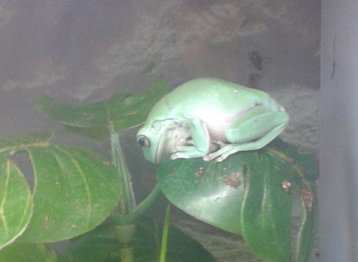 Pet Supply Store «Petco Animal Supplies», reviews and photos, 2784 W Peoria Ave, Phoenix, AZ 85029, USA