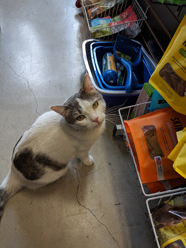 Pet Supply Store «Pet Express», reviews and photos, 1232 S La Cienega Blvd, Los Angeles, CA 90035, USA