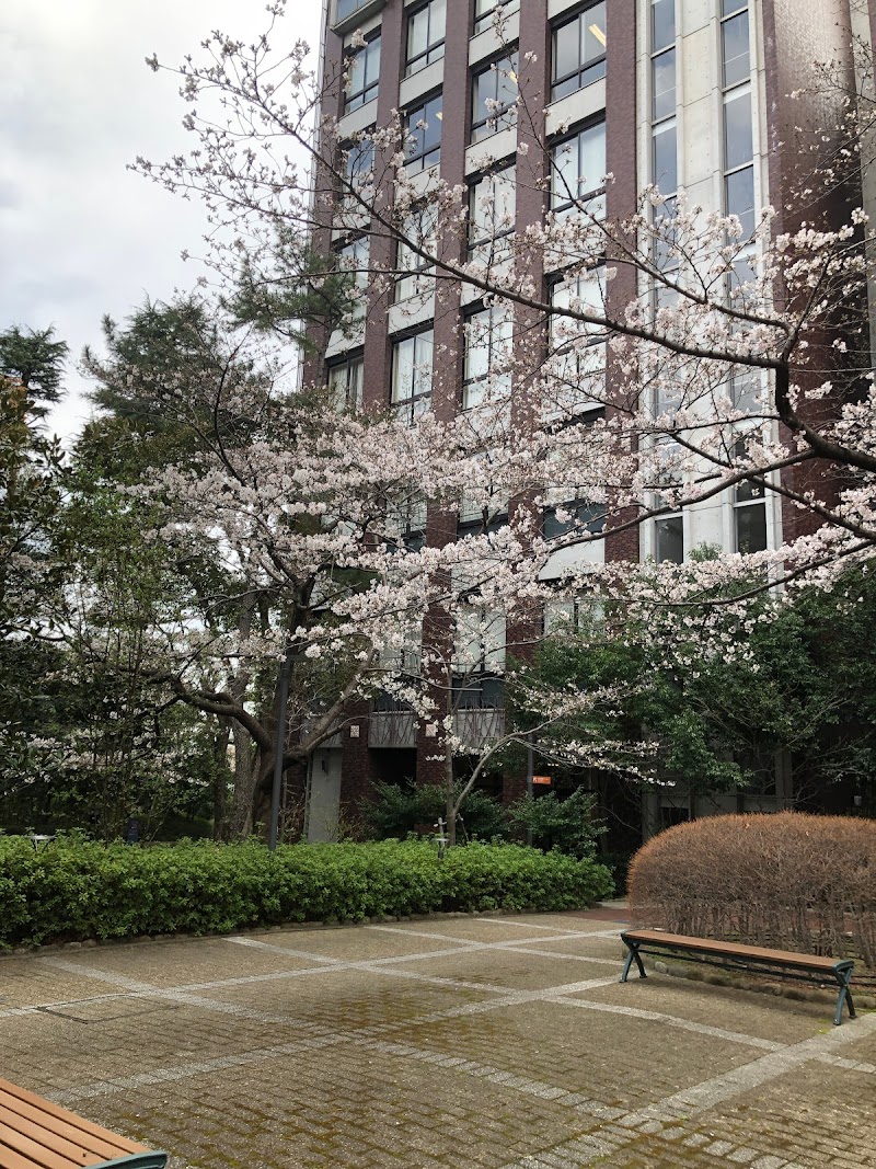 甲南大学図書館 兵庫県神戸市東灘区岡本 大学図書館 図書館 グルコミ