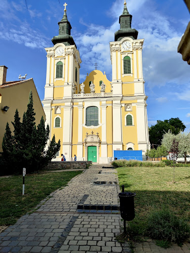 szekesfehervar.hu