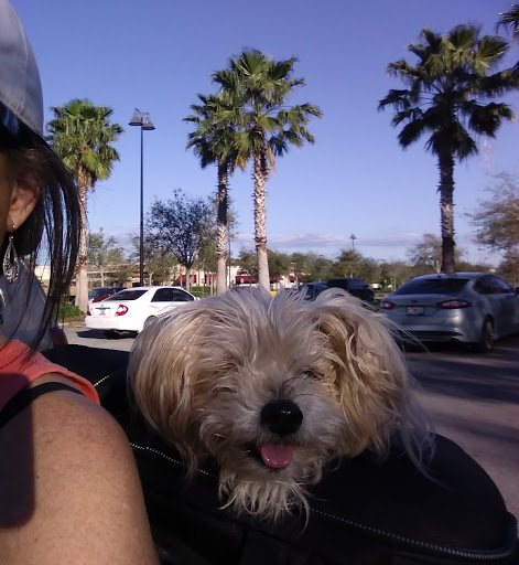 Pet Supply Store «PetSmart», reviews and photos, 534 US-441, Lady Lake, FL 32159, USA