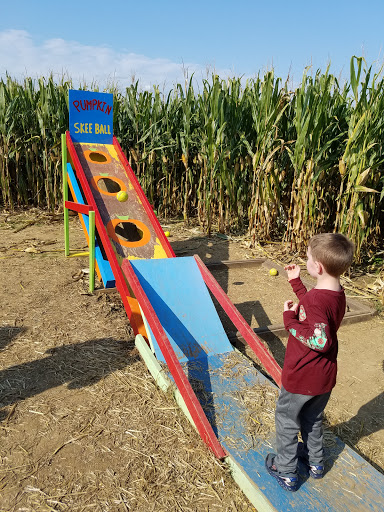 Tourist Attraction «Oregon Dairy Corn Maze», reviews and photos, 1289 Creek Rd, Lititz, PA 17543, USA