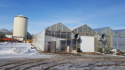 Sunshine Greenhouses Ltd (Redcliff Facility)