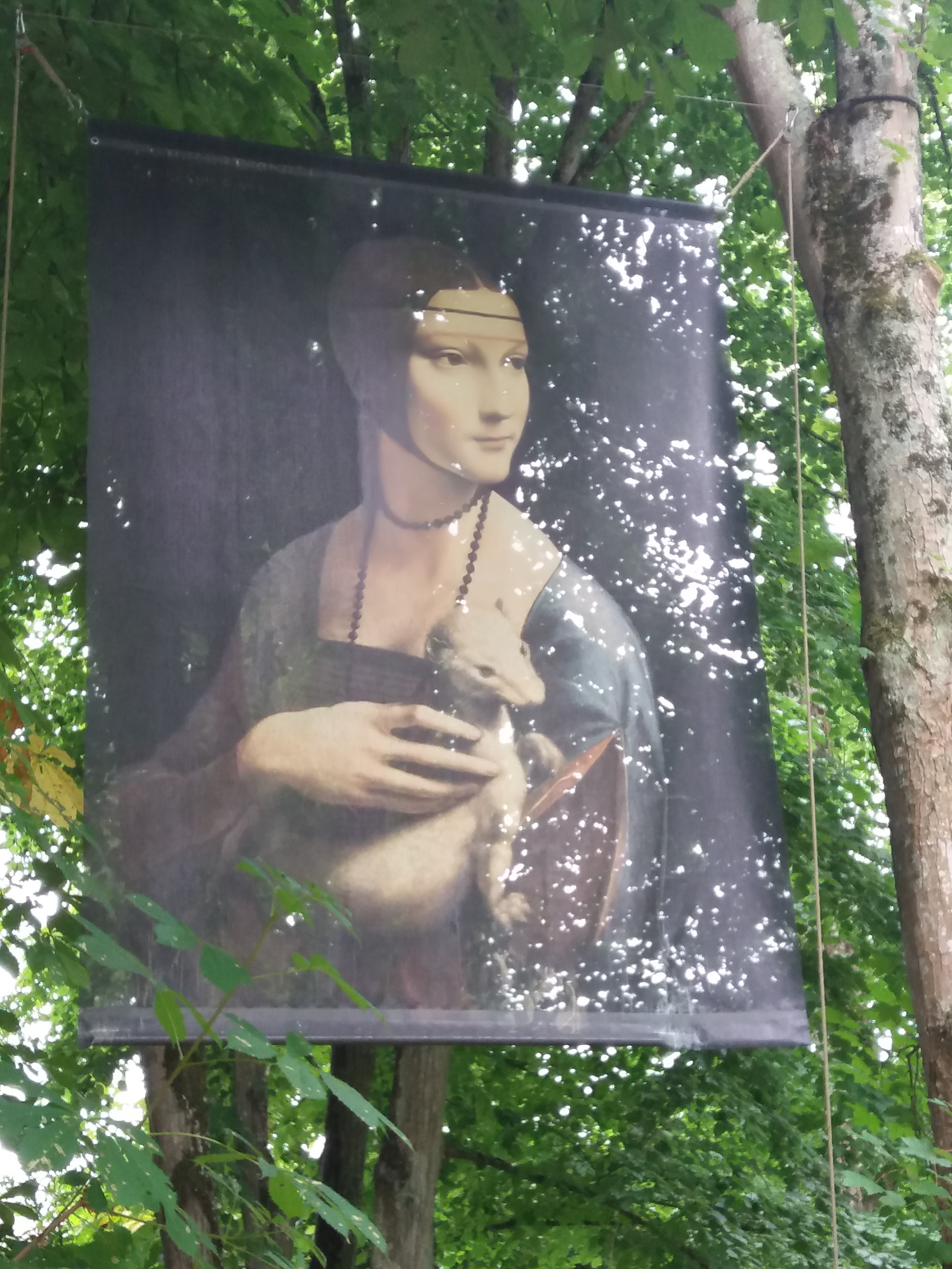 Photo n° 9 de l'avis de Ronan.o fait le 09/08/2022 à 16:31