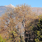 Photo n°2 de l'avis de nicola.o fait le 03/12/2021 à 22:16 sur le  Hotel Santanna à Verbania