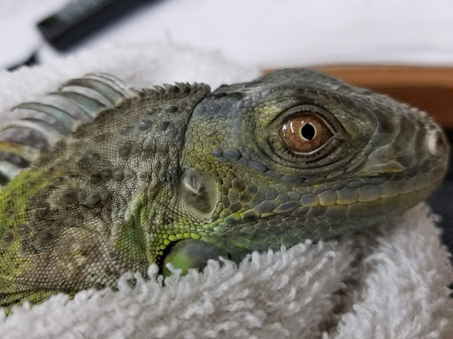 Shopping Mall «Hampton Plaza Shopping Center», reviews and photos, 4033 W Mercury Blvd, Hampton, VA 23666, USA