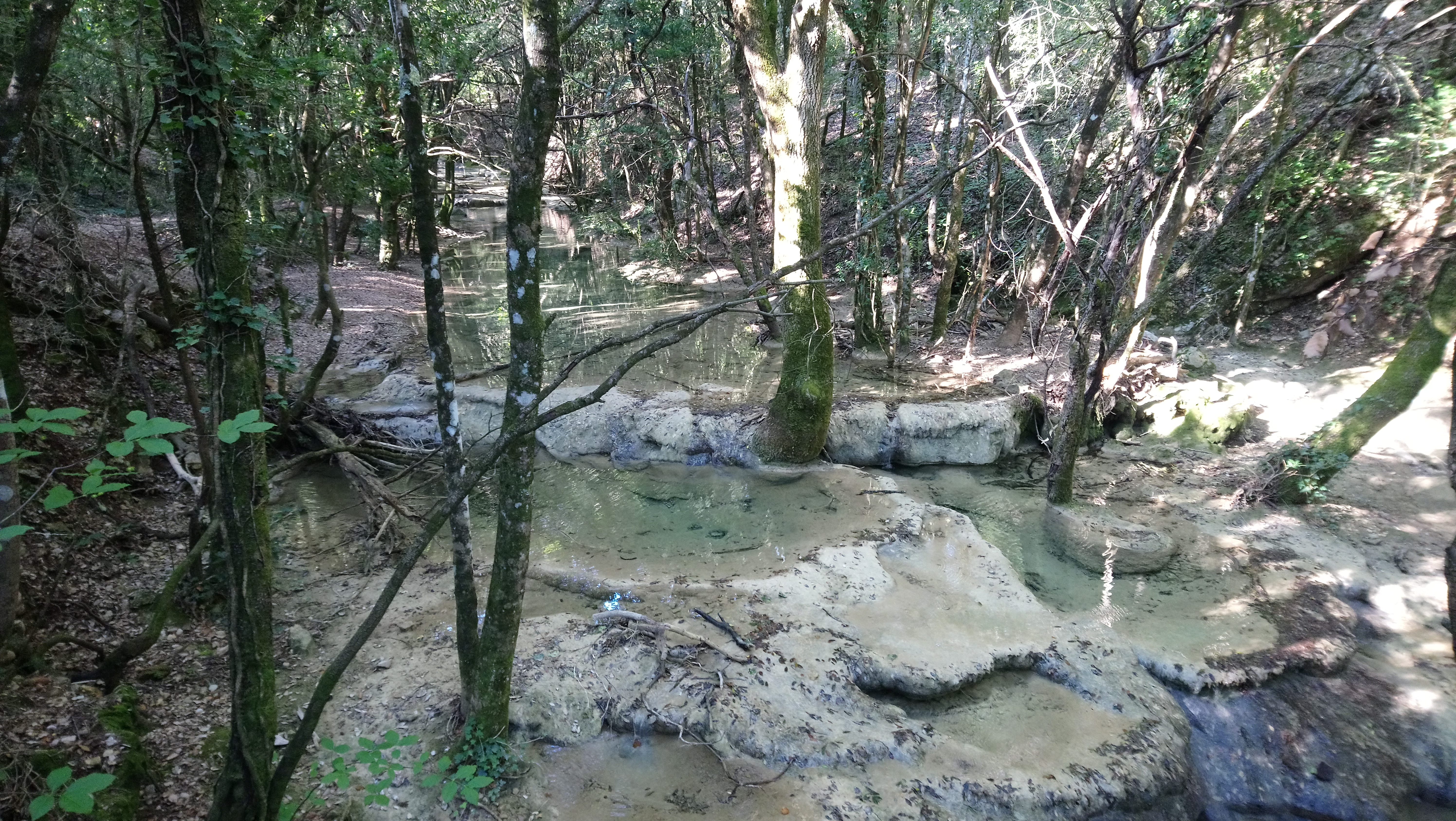 Photo n° 6 de l'avis de Jean-Philippe.e fait le 27/07/2018 à 07:17